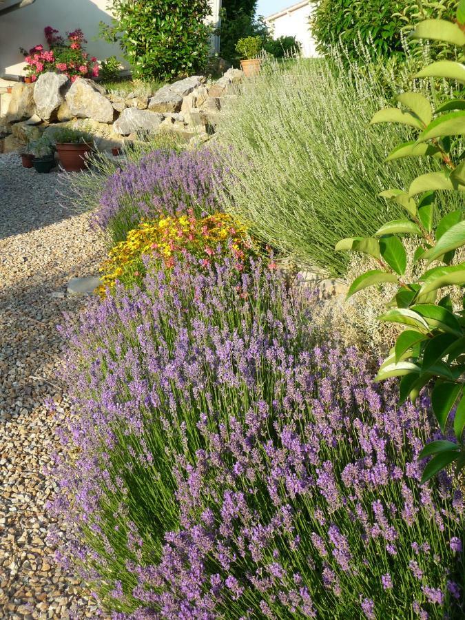 Splendide vue Pyrénées, Rez de jardin 2 chambres Montjoie-en-Couserans Esterno foto